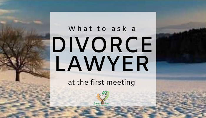 What to ask a divorce lawyer, questions to ask a divorce lawyer on first meeting with Seasons of Divorce Shari Frasure, Divorce Coach